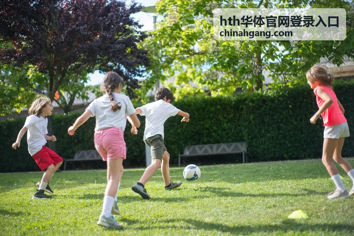 hth华体官网登录入口异常登录处理与账号找回流程