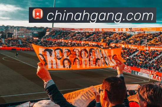 奖项证书